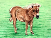 Miniature Horse, Equine Art -Get Shorty